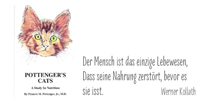 Tatzenladen