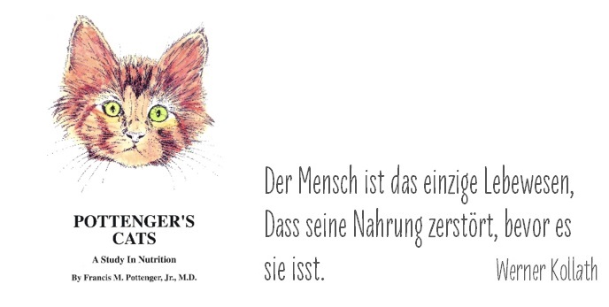 Tatzenladen